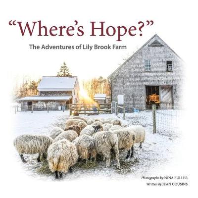 Book cover for "Where's Hope?"