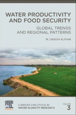 Cover of Water Productivity and Food Security