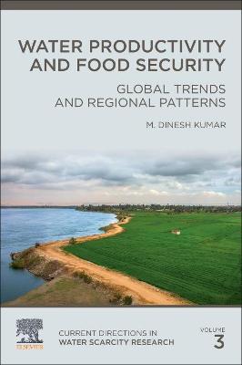 Book cover for Water Productivity and Food Security