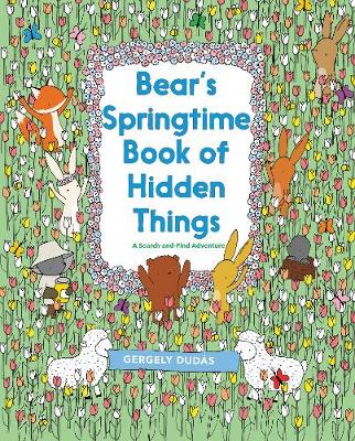 Book cover for Bear's Springtime Book of Hidden Things