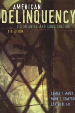 Cover of American Delinquency