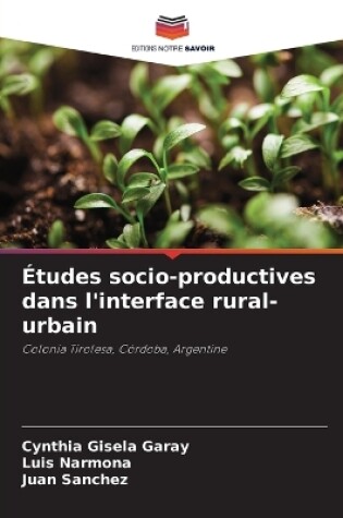 Cover of Études socio-productives dans l'interface rural-urbain