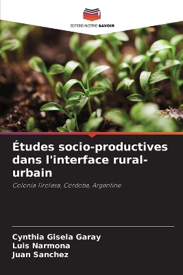 Book cover for Études socio-productives dans l'interface rural-urbain