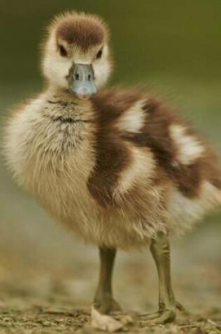 Cover of Baby Goose Gosling Bird Journal