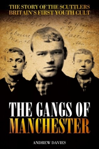 Cover of The Gangs Of Manchester