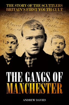Book cover for The Gangs of Manchester