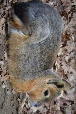 Cover of Patagonian Mara Hare Resting, for the Love of Animals