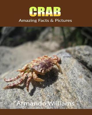 Book cover for Crab