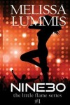 Book cover for Nine30