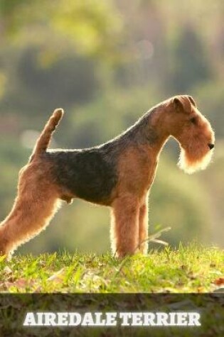 Cover of Airedale Terrier