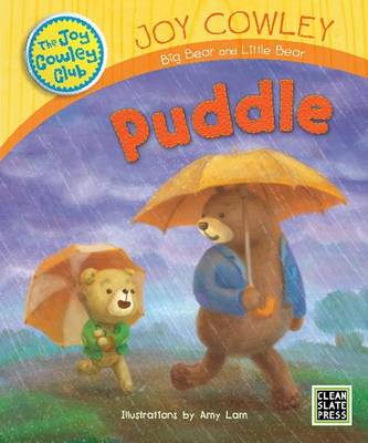 Book cover for Puddle