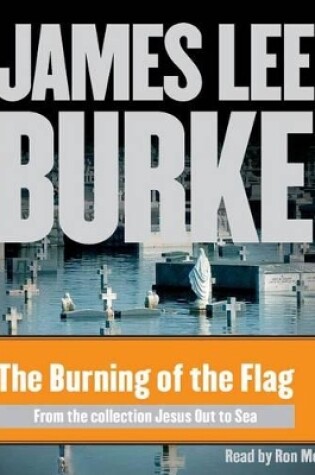 Cover of The Burning of the Flag