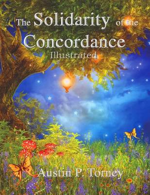 Book cover for The Solidity of the Concordance Illustrated