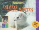 Book cover for Animals Prepare for Winter