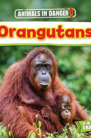 Cover of Orangutans