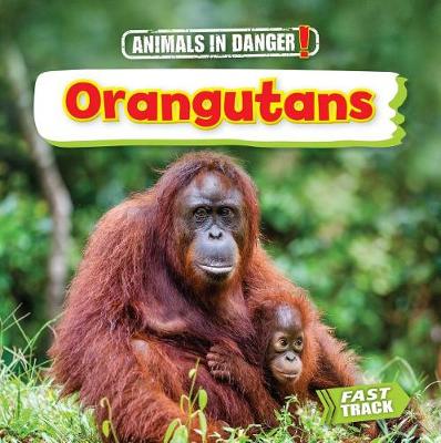 Cover of Orangutans