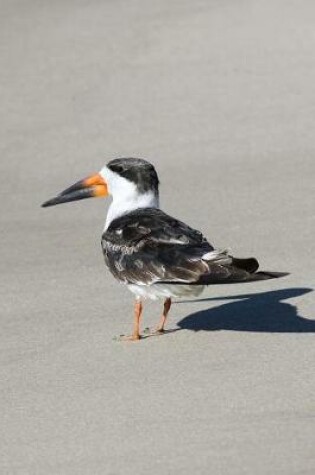 Cover of Black Skimmer Bird Journal (Rynchops Niger)