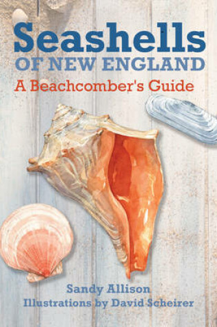 Cover of Seashells of New England