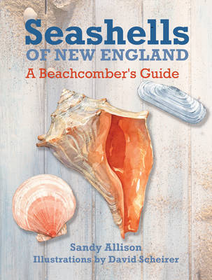 Book cover for Seashells of New England