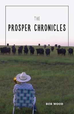 Book cover for The Prosper Chronicles