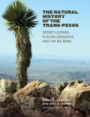 Book cover for The Natural History of the Trans-Pecos