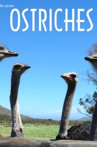 Cover of Ostriches