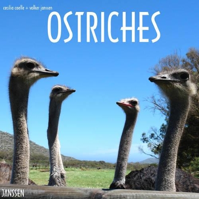 Book cover for Ostriches