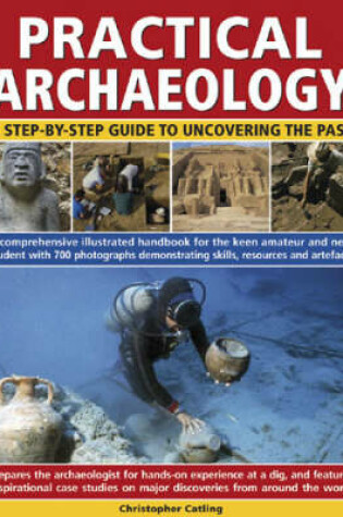 Cover of Practical Archaeology