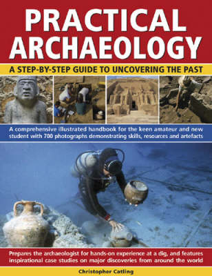 Book cover for Practical Archaeology