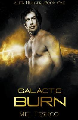 Book cover for Galactic Burn