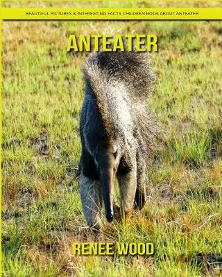 Book cover for Anteater