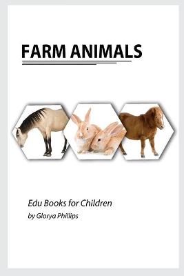 Book cover for Farm Animals