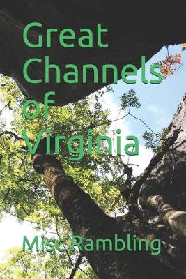 Book cover for Great Channels of Virginia