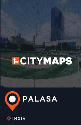 Book cover for City Maps Palasa India