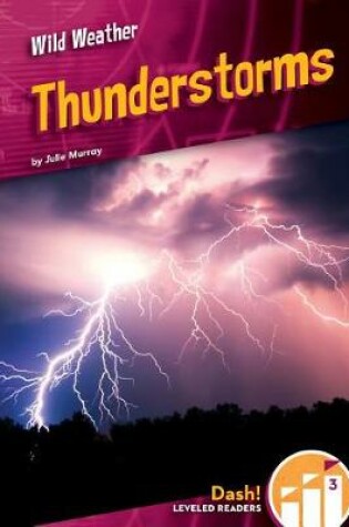 Cover of Thunderstorms