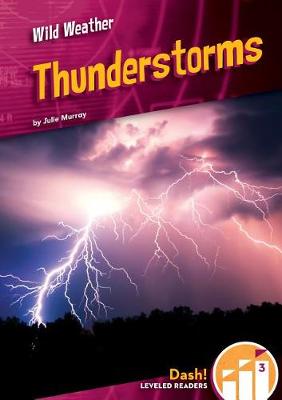 Cover of Thunderstorms
