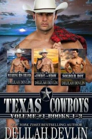 Cover of Texas Cowboys