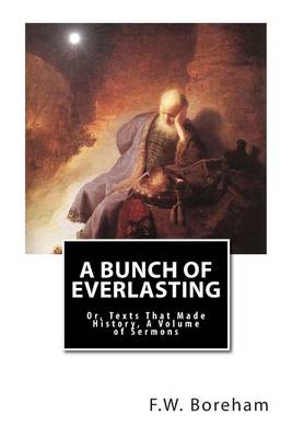 Book cover for A Bunch of Everlasting