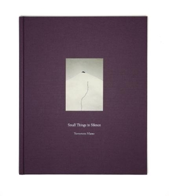 Book cover for Small Things in Silence