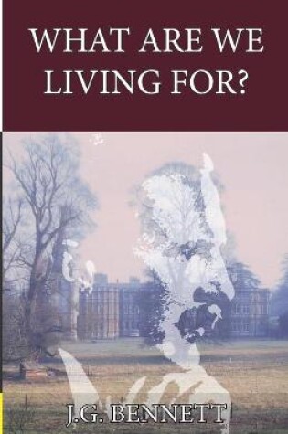 Cover of What Are We Living For?