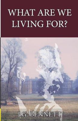 Book cover for What Are We Living For?