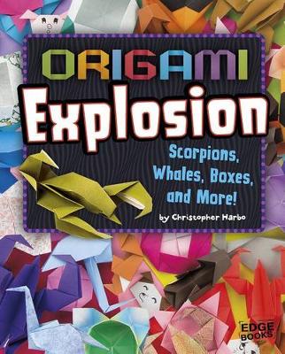 Book cover for Origami Explosion