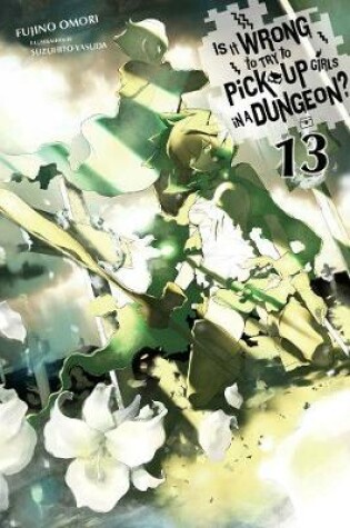 Cover of Is It Wrong to Try to Pick Up Girls in a Dungeon?, Vol. 13 (light novel)