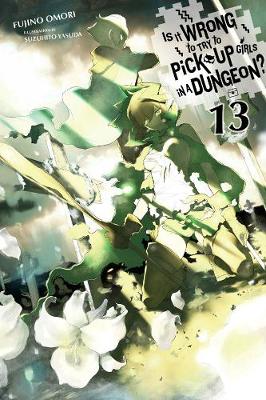 Book cover for Is It Wrong to Try to Pick Up Girls in a Dungeon?, Vol. 13 (light novel)