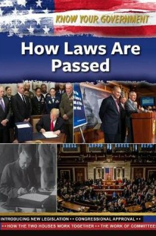 Cover of How Laws Are Passed