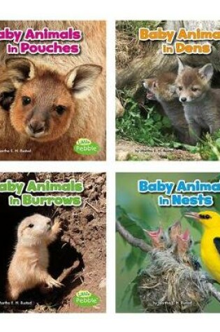 Cover of Baby Animals and Their Homes