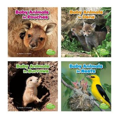 Book cover for Baby Animals and Their Homes