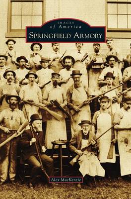 Book cover for Springfield Armory