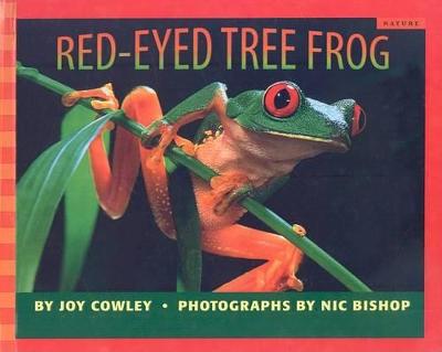 Book cover for Red-Eyed Tree Frog