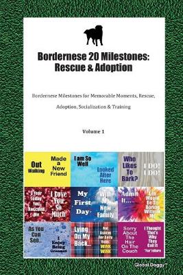 Cover of Bordernese 20 Milestones